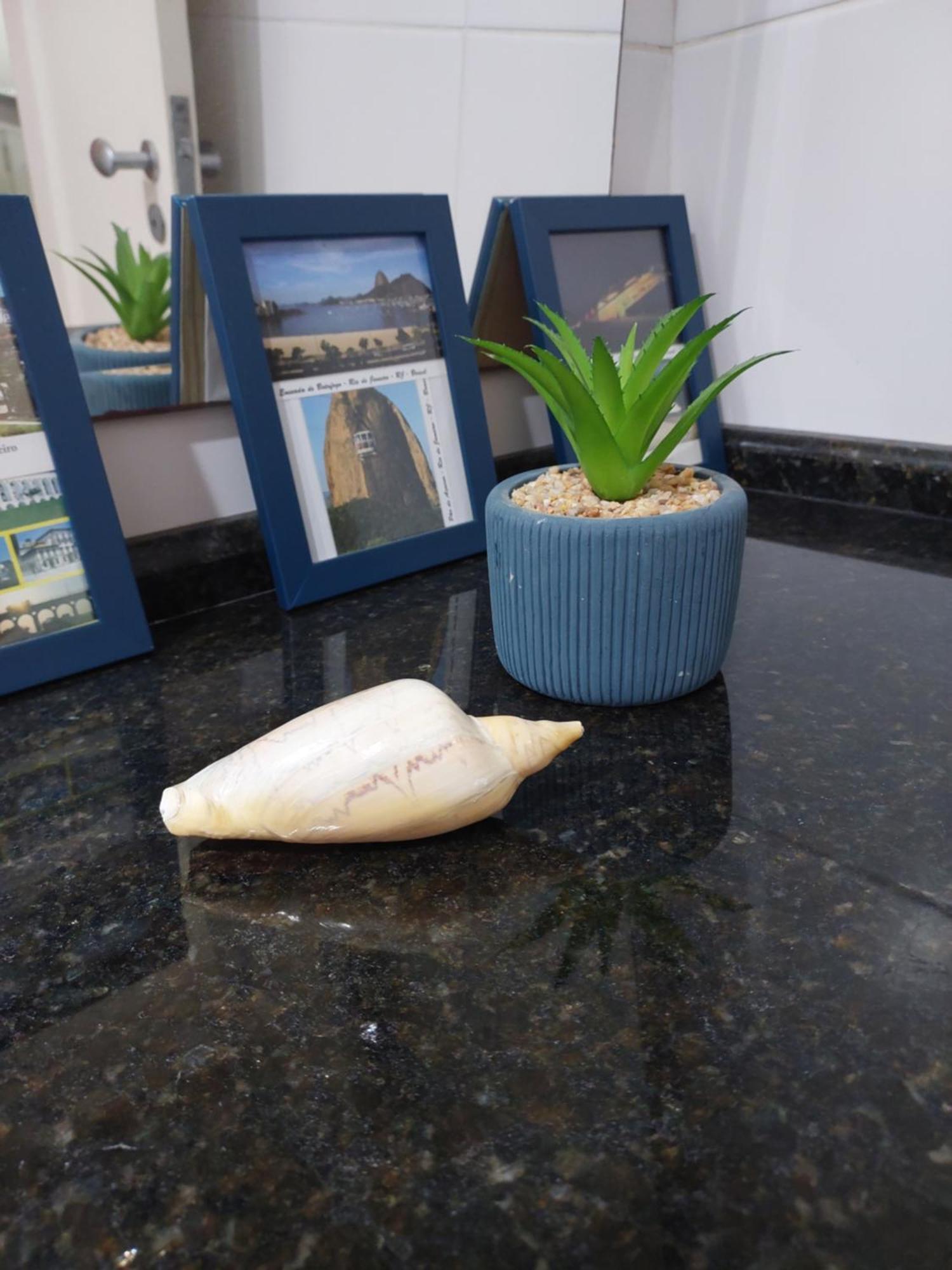 Ipanema Posto8 Com 1Quarto E 1Mesanino Flat40M2 Rua Hotel Fasano Rio de Janeiro Exteriör bild